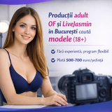 Job. Castiga bani rapid  colaborare part-time in productii online